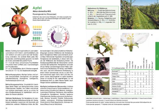 Beispielinhalt (Bild) Praxishandbuch Nutzpflanzenbestäubung