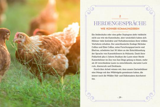 Beispielinhalt (Bild) How to Read a Chicken's Mind