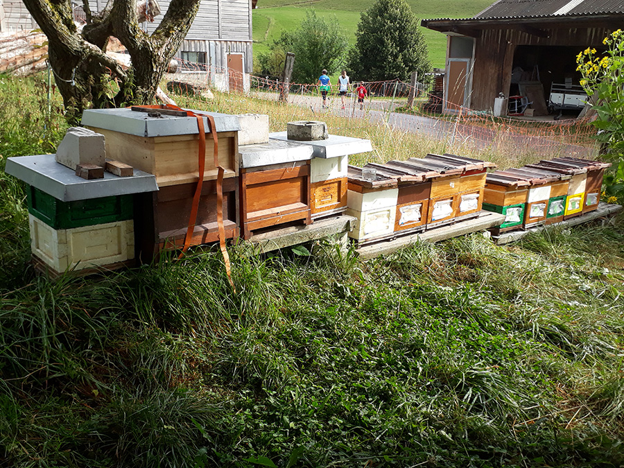 Imkern als Hobby – Teil 3