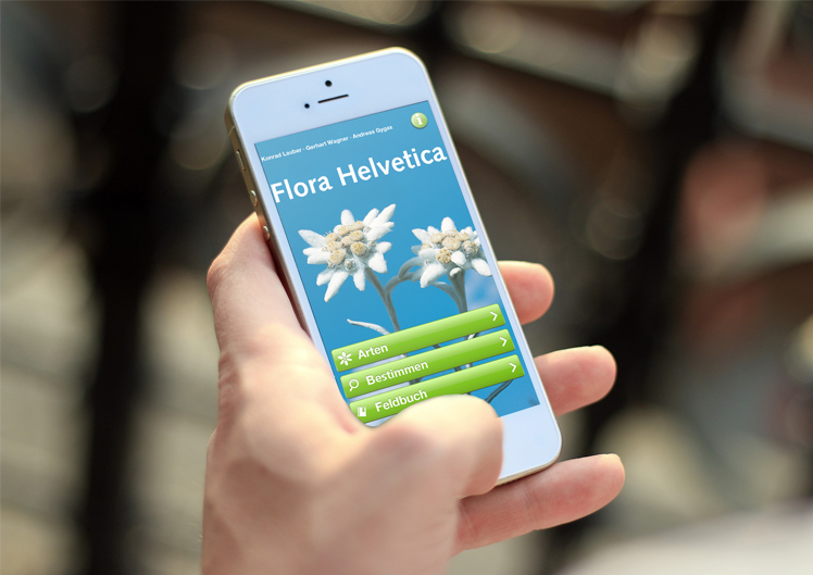 Update für die Flora Helvetica App