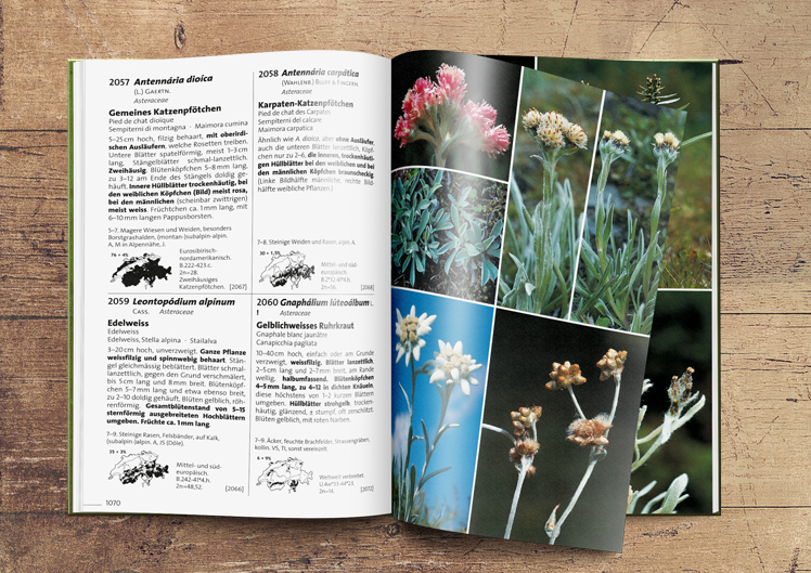 Die Flora-Familie wächst: Neuauflage und Exkursionsführer im Mai 2018