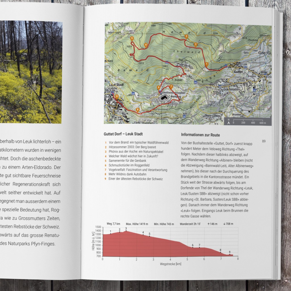Schauplätze der Forschung vor prächtiger Kulisse erwandern