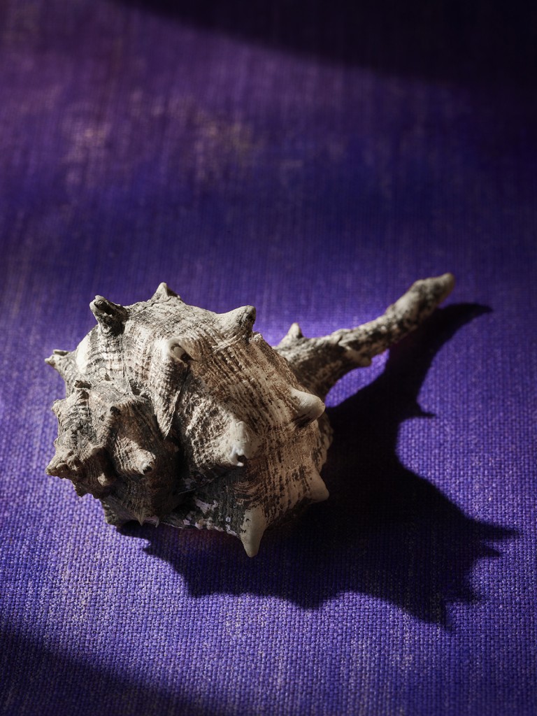 Farbpigmente: Tyrischer Purpur