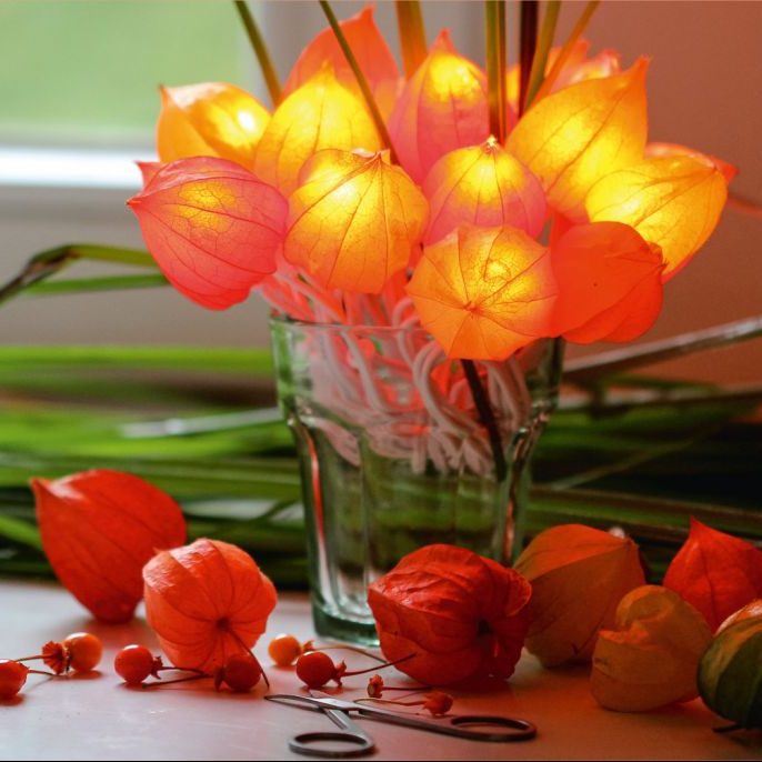 Mit Naturgeschenken durchs Jahr – September