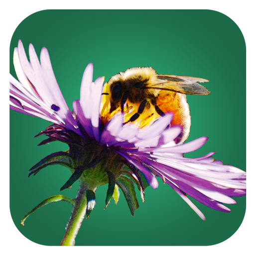 Neue App für Bienenpflanzen