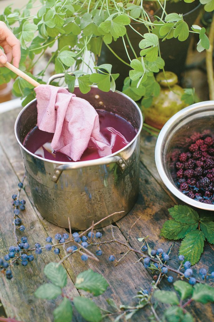 Färben mit Pflanzen – eine Spurensuche im Garten