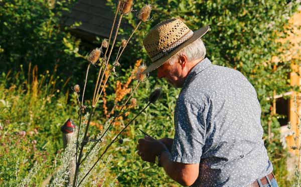 Praxisbuch Gartenagogik: Menschen mit Natur begleiten
