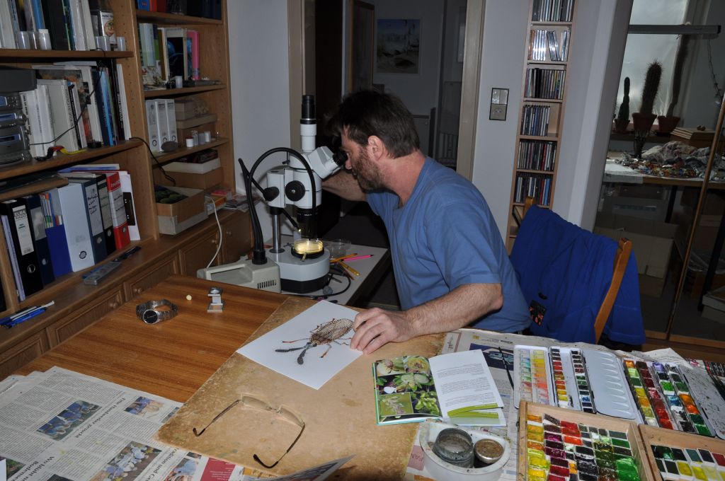 Illustrationen für Naturbücher
