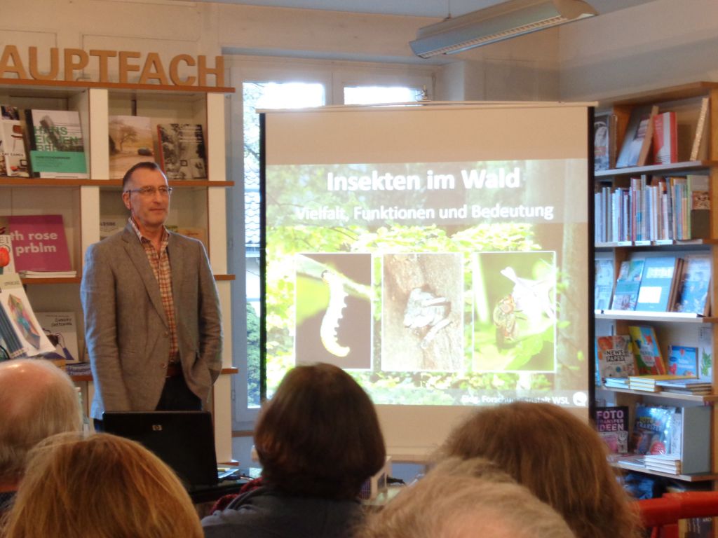«Insekten im Wald» – Buchvernissage