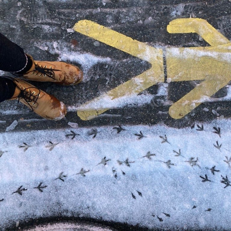 Fährten lesen und Spuren suchen: In Schnee und Sand