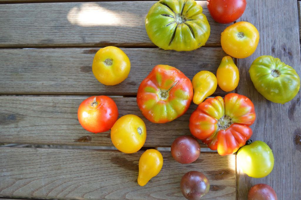 Gartenküche: Tomaten-Brot-Salat