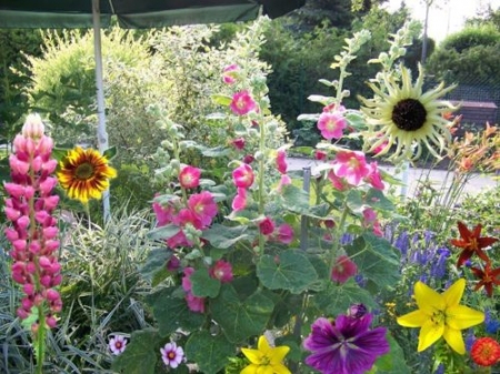 Kremers Kulturlandschaften Teil 1: Der Bauerngarten